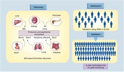 Proteome And Peptidome Analysis Of Serum And Urine Of Organ Transplant Patients To Develop Protein Panels For Specific Transplant Injury Phenotypes